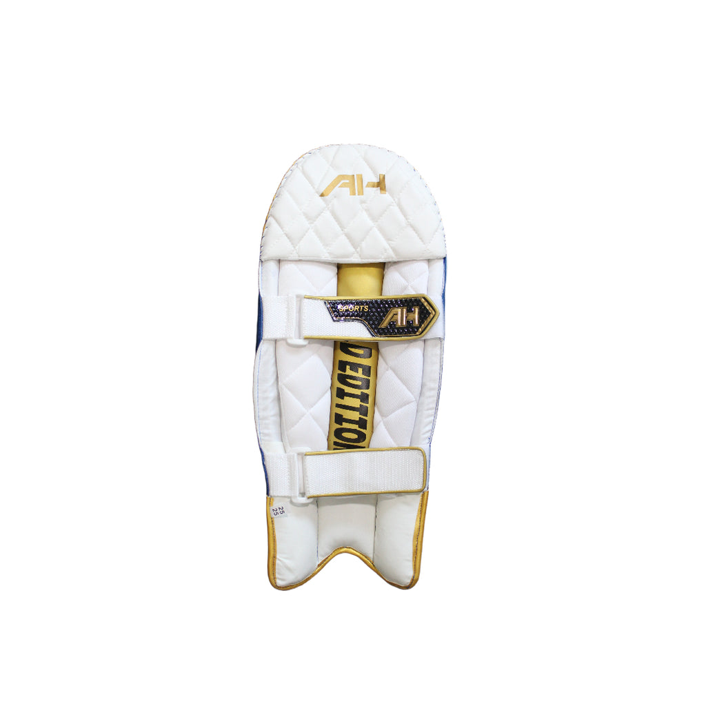 Wicket Keeping Leg Guards – Premium Cricket Pads for Protection & Comfort