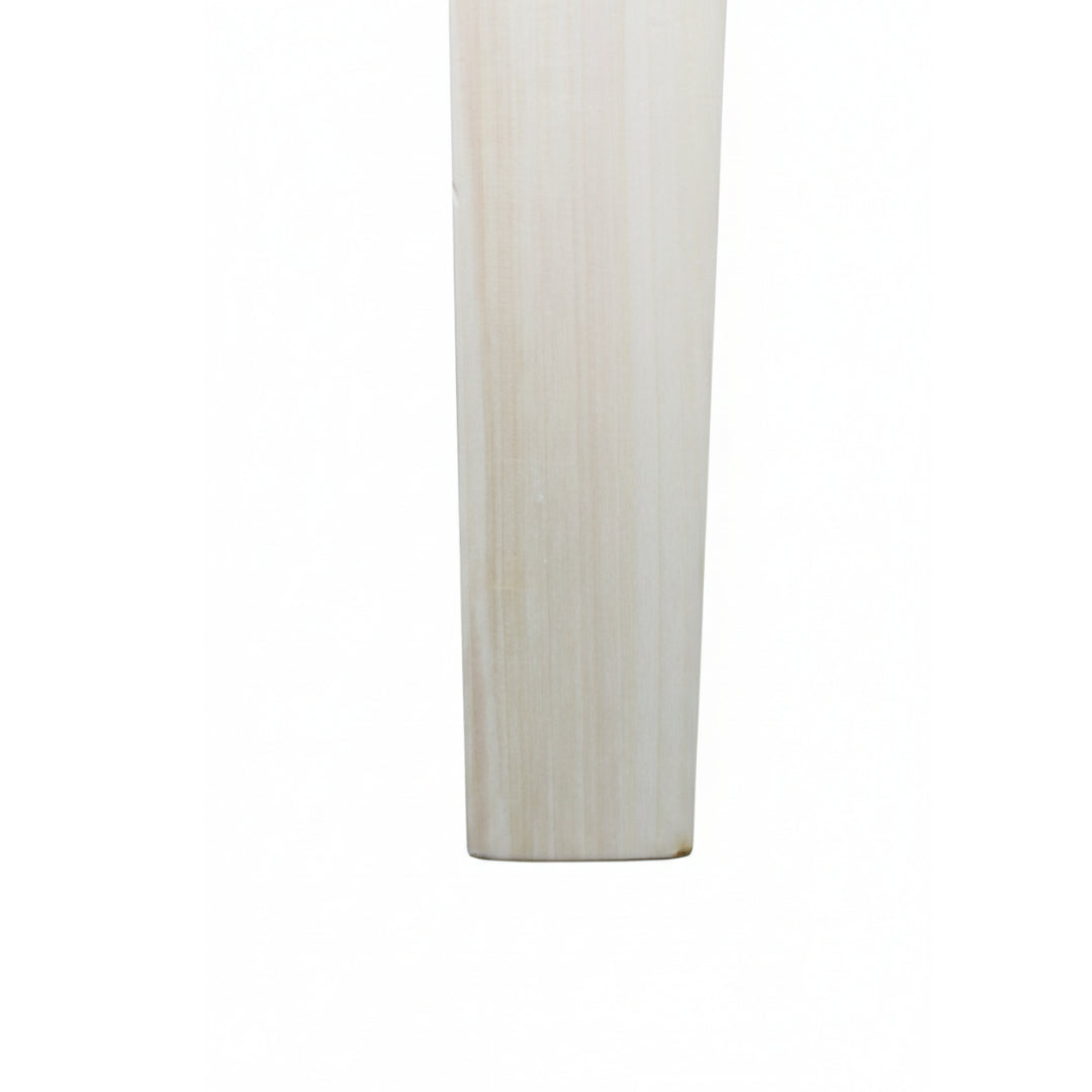 Kashmir Willow Bat SZ-2